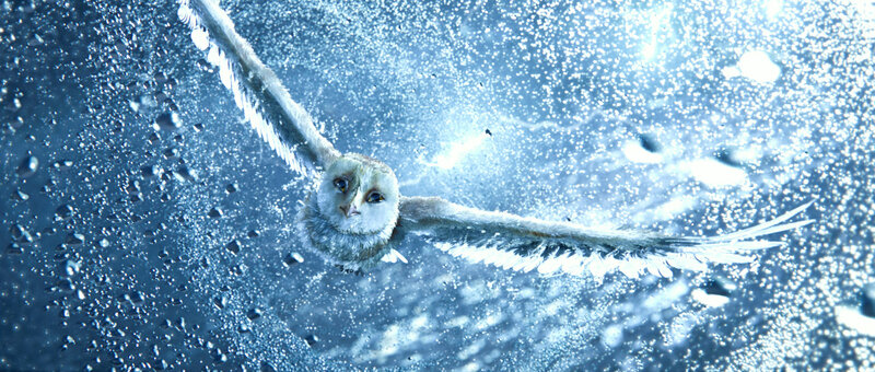 owl flying in snowy air