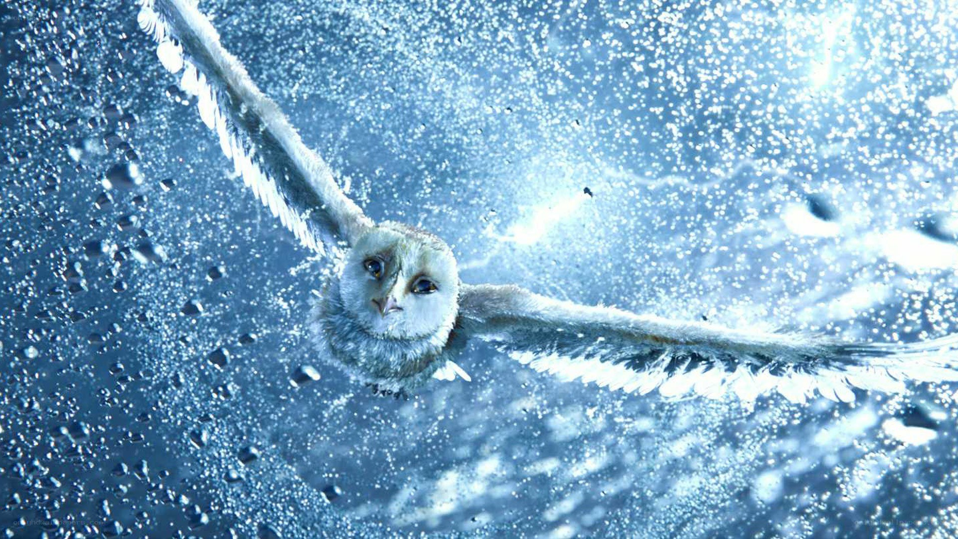 owl flying in snowy storm