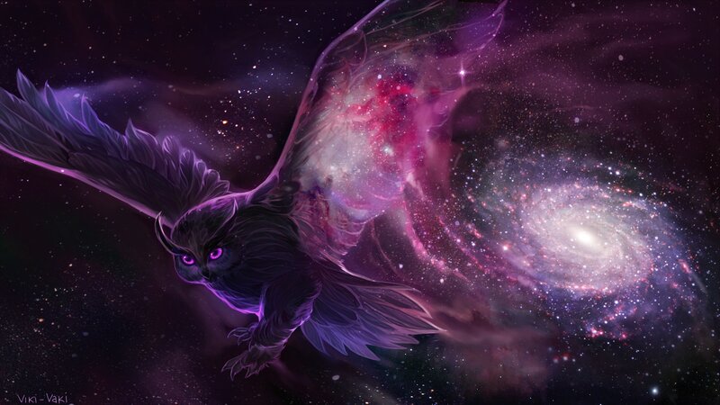 Owl Flying in Space