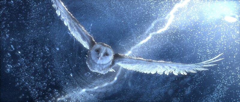 owl flying in storm