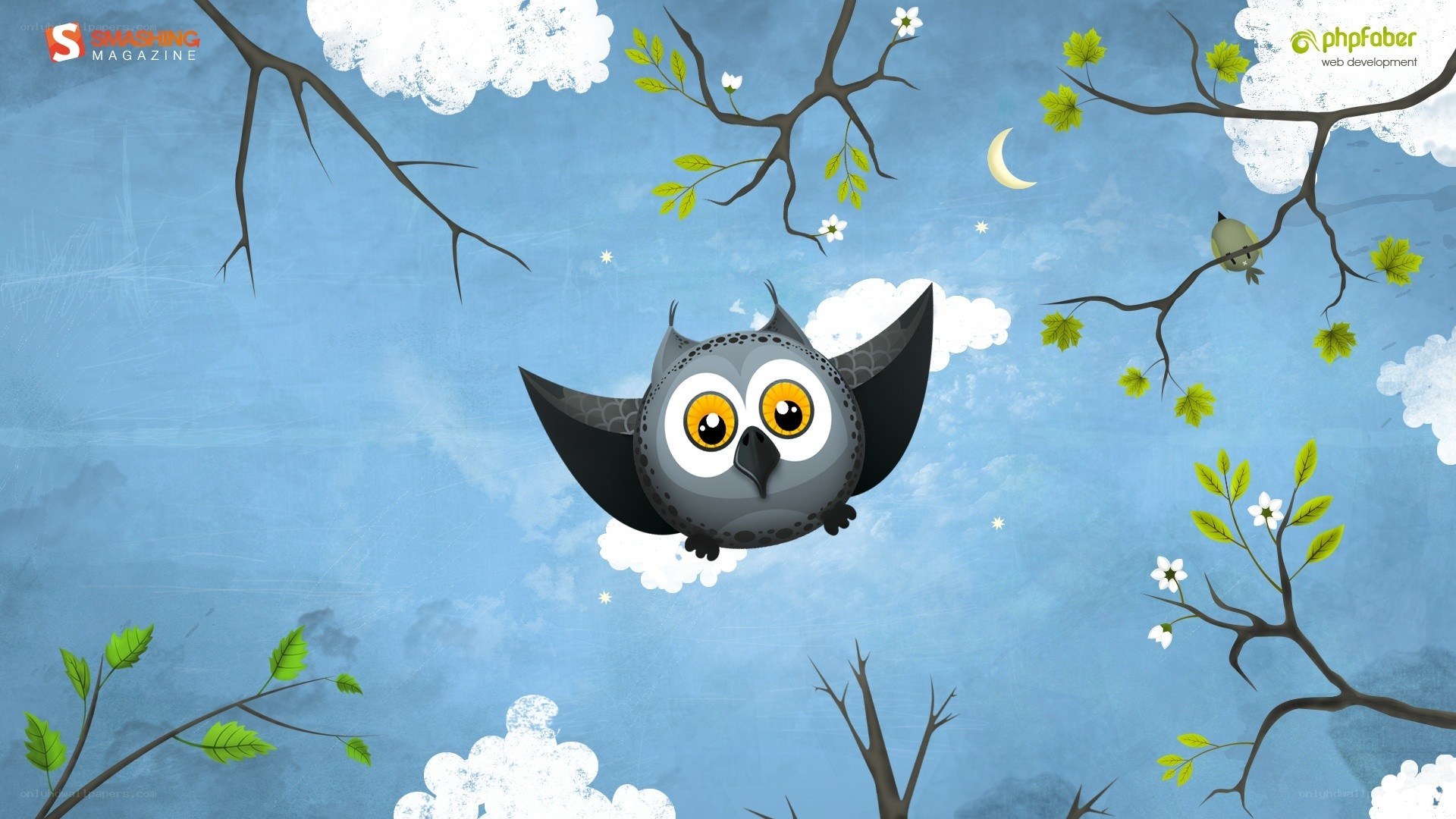 owl flying in the sky
