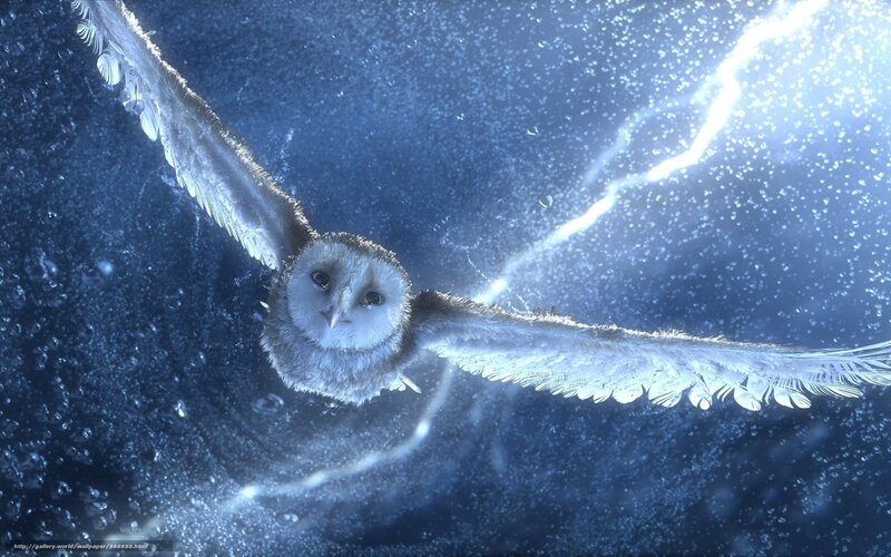 Owl Flying in Water