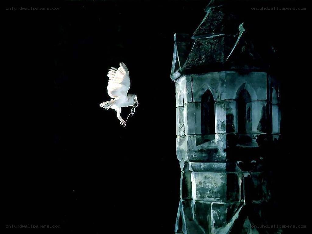 Owl flying near a tower