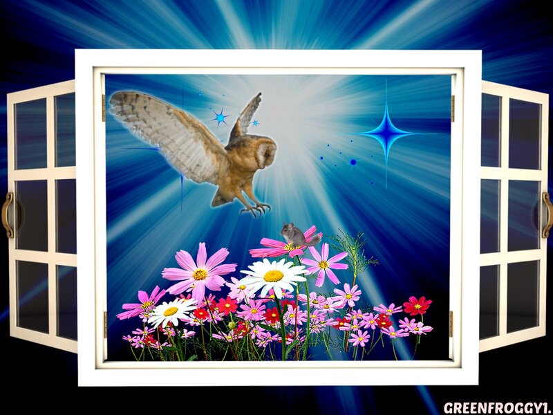 Owl Flying over Flowers