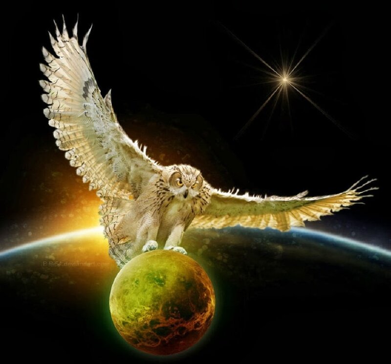 Owl Flying over Planet