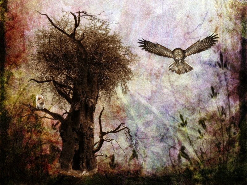 Owl Flying over Tree