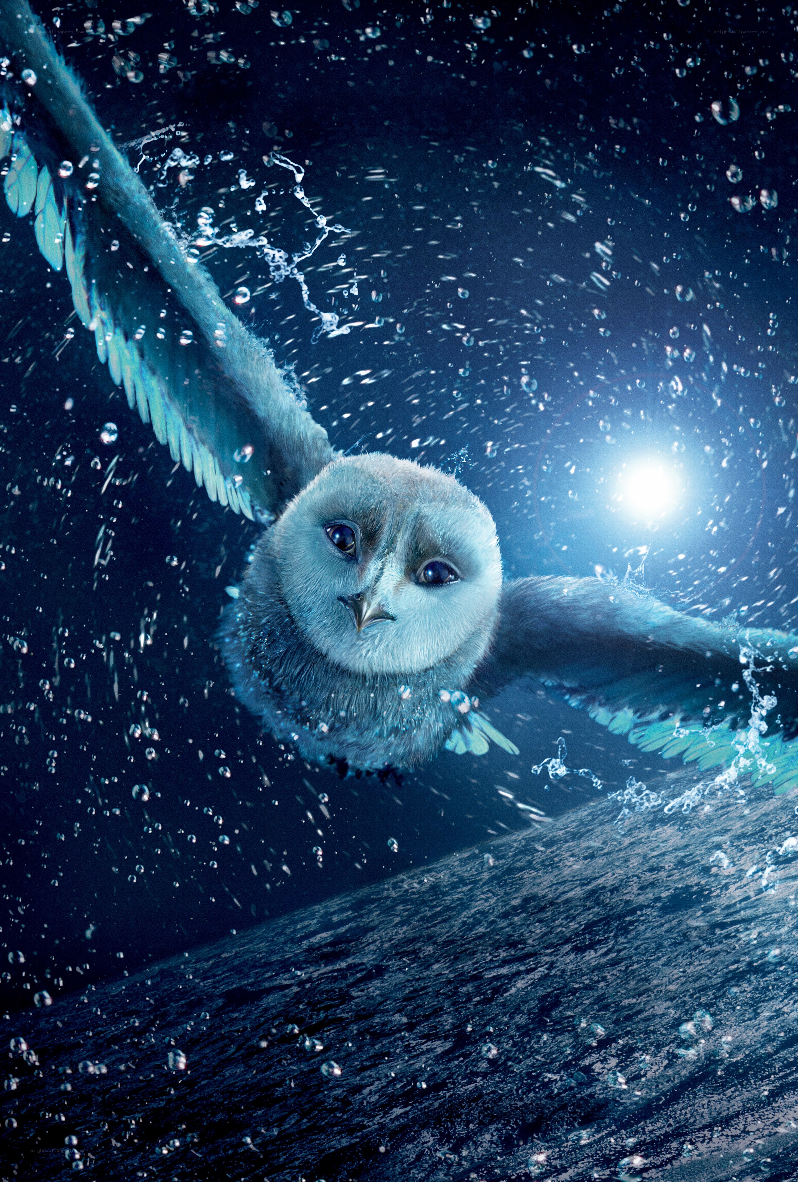 owl flying through water