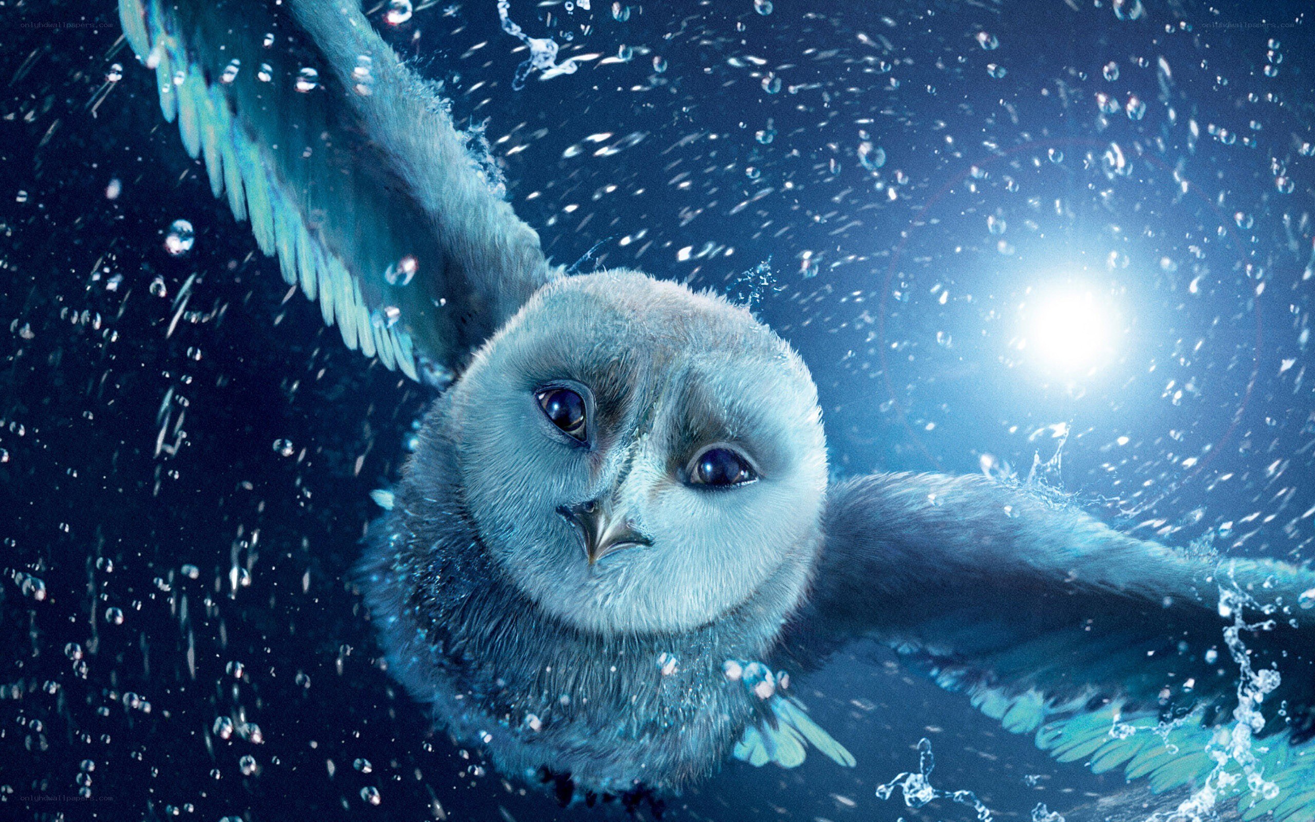 owl flying underwater