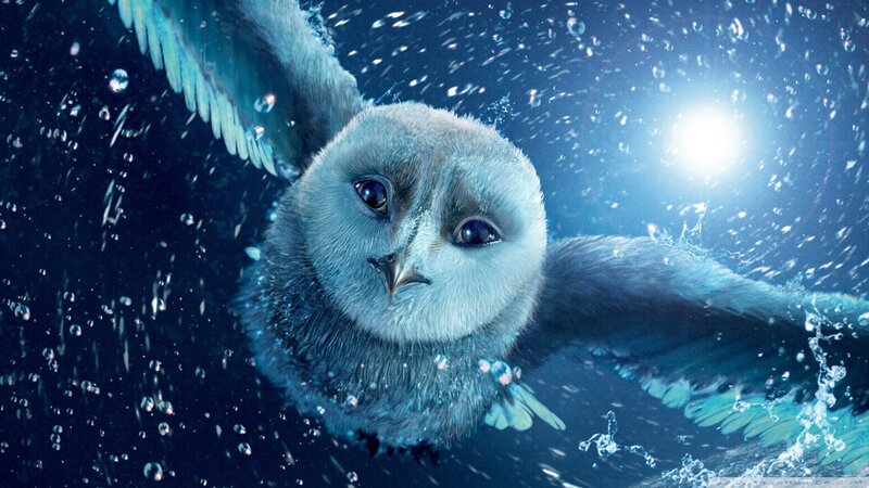 owl flying underwater