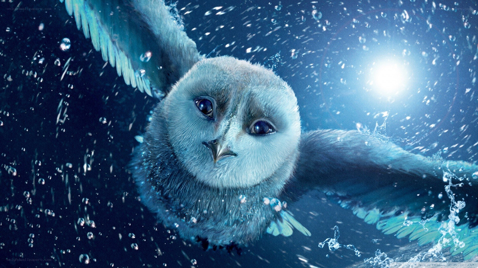 owl flying underwater