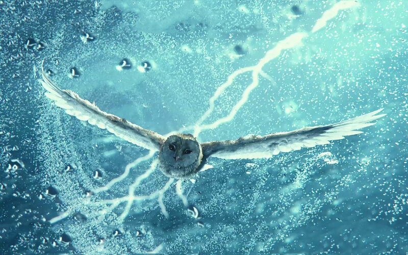 owl flying underwater