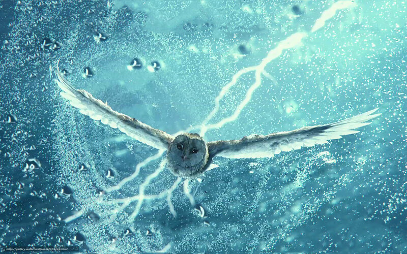 Owl flying underwater