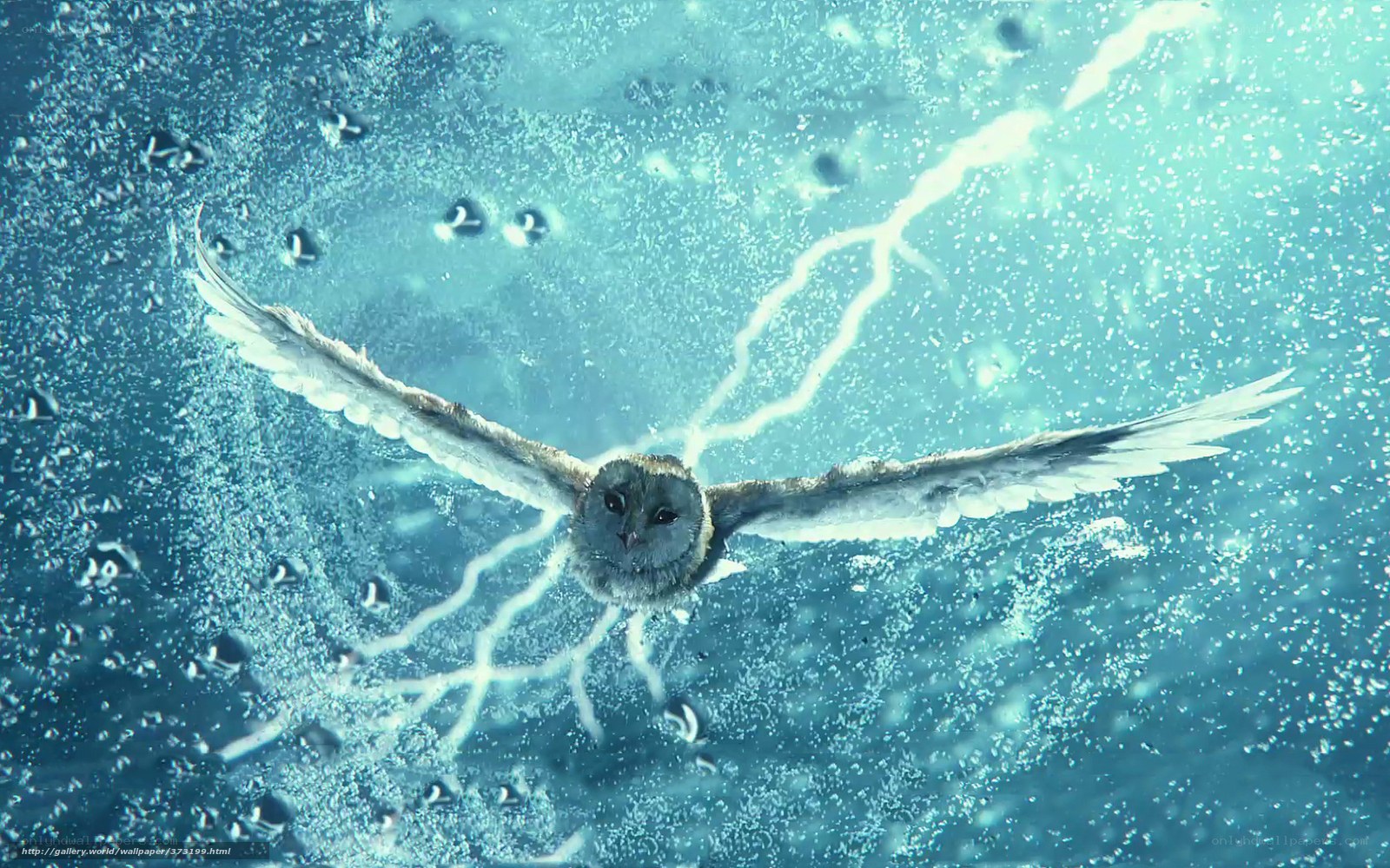 Owl flying underwater