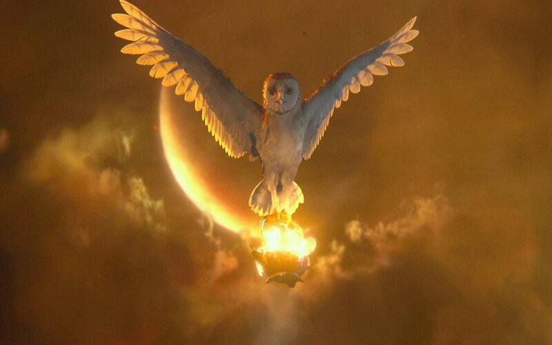 Owl Holding a Lantern