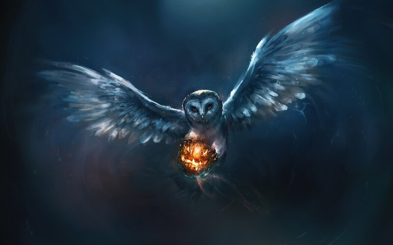 Owl Holding Glowing Orb