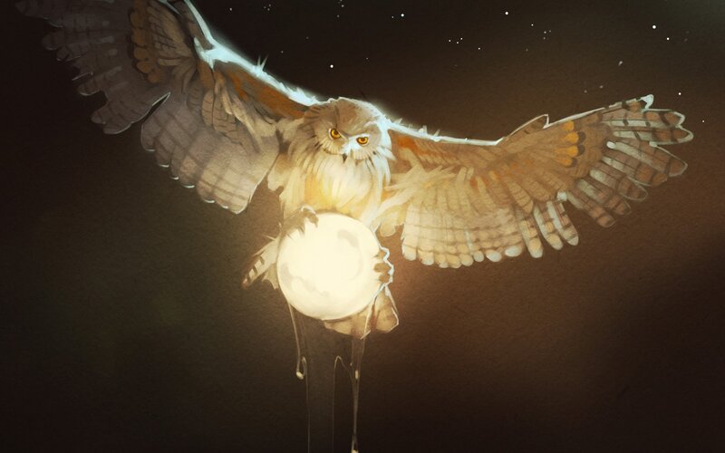 Owl Holding Moon