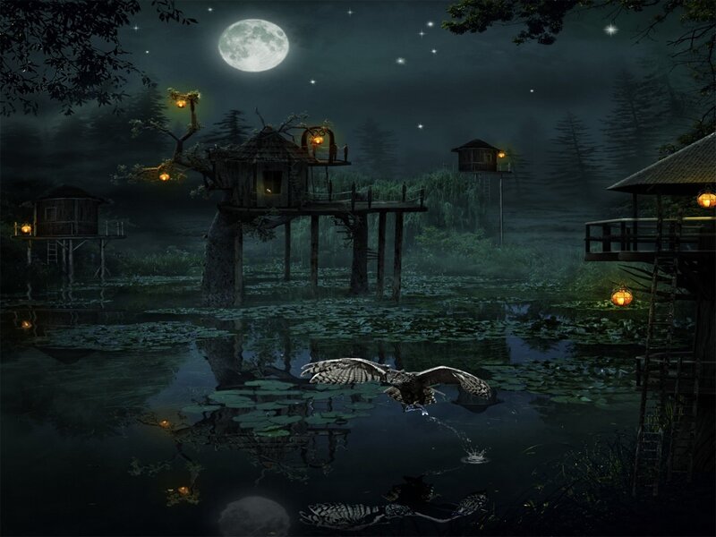 Owl Hunting over Pond
