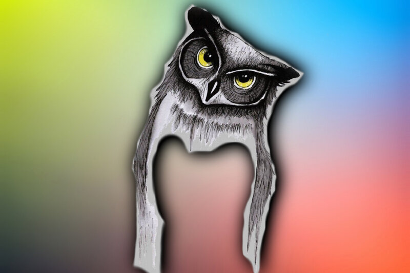 Owl Illustration