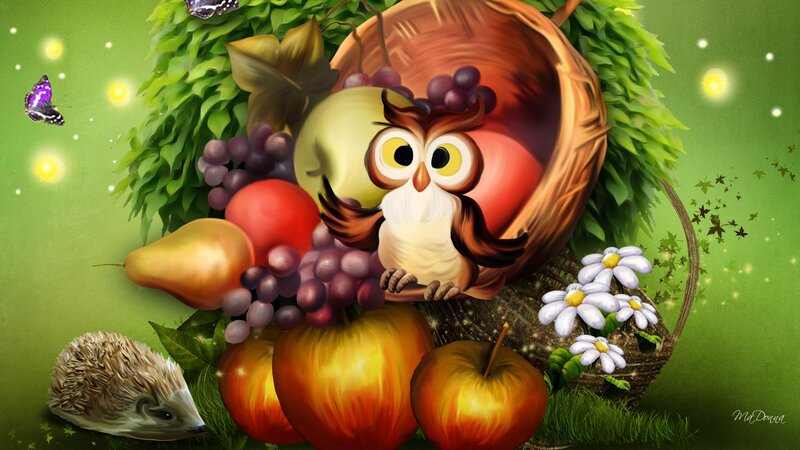 Owl in a Basket
