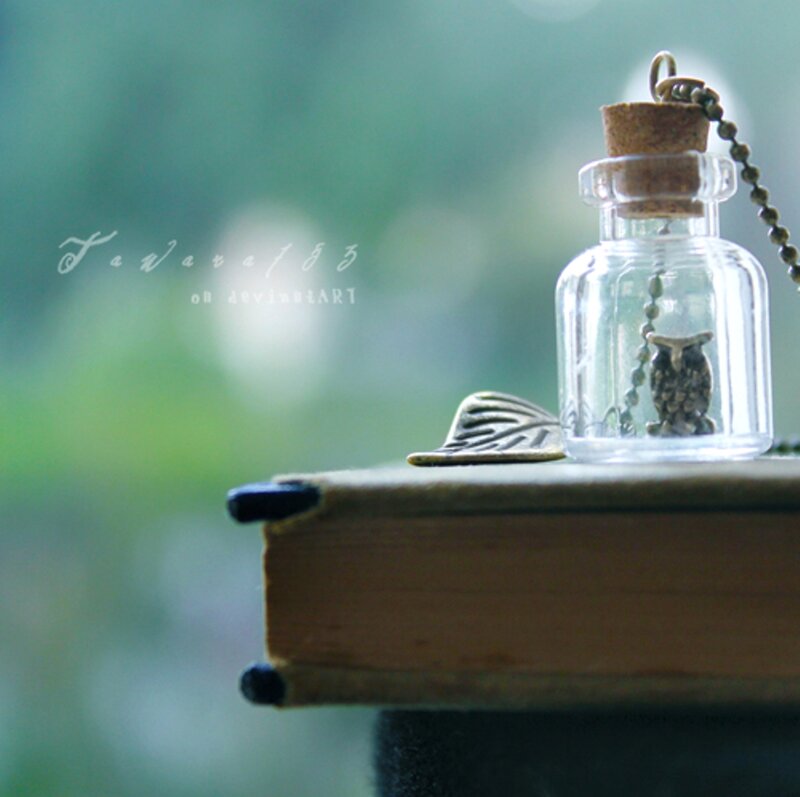 Owl in a Bottle