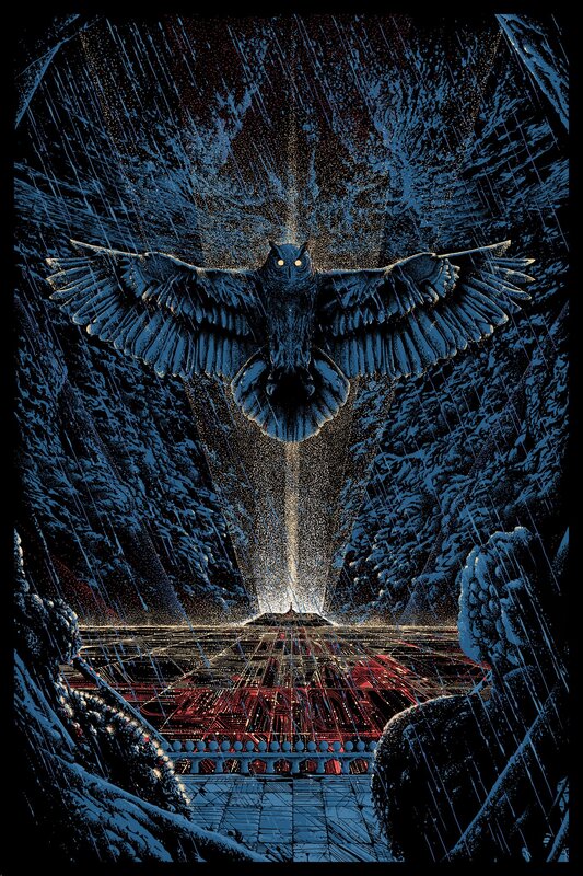 Owl in a Canyon