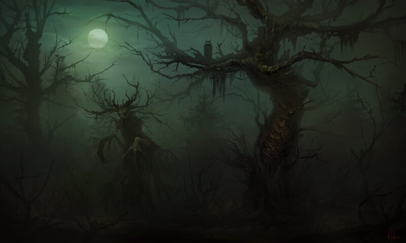 Owl in a Dead Tree