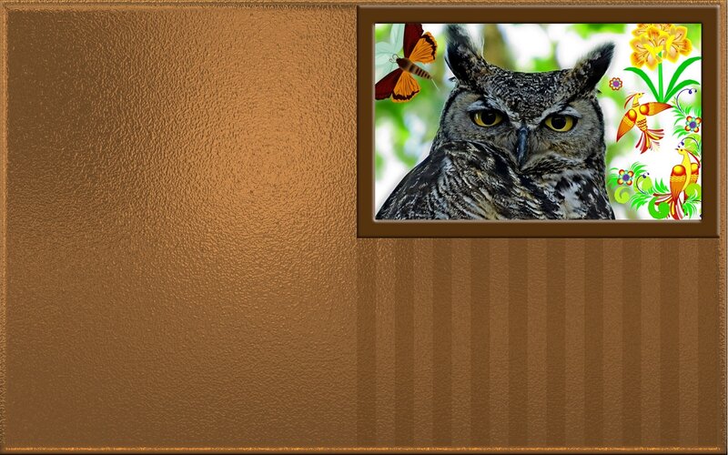 Owl in a Framed Picture