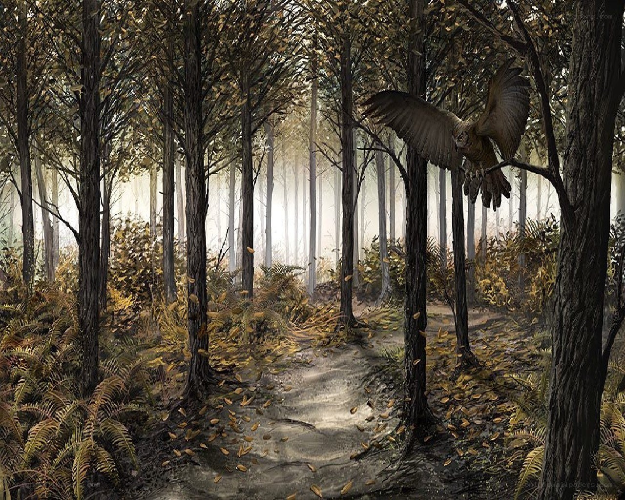 Owl in a misty forest