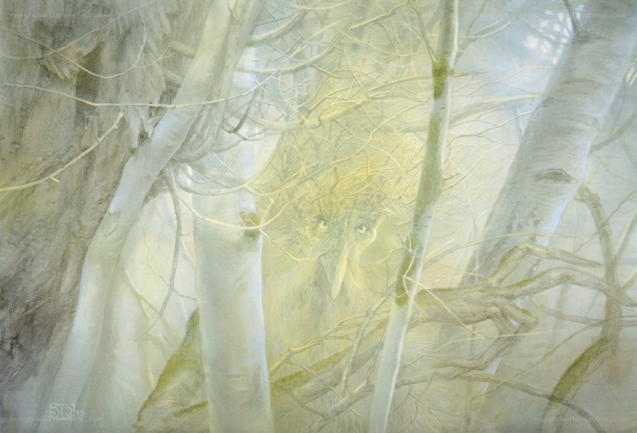 Owl in a misty forest