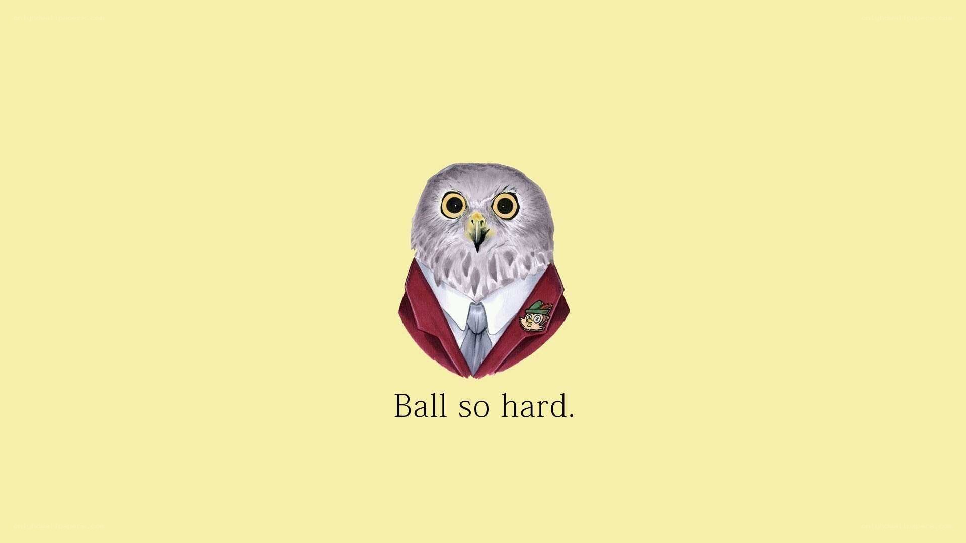 owl in a suit