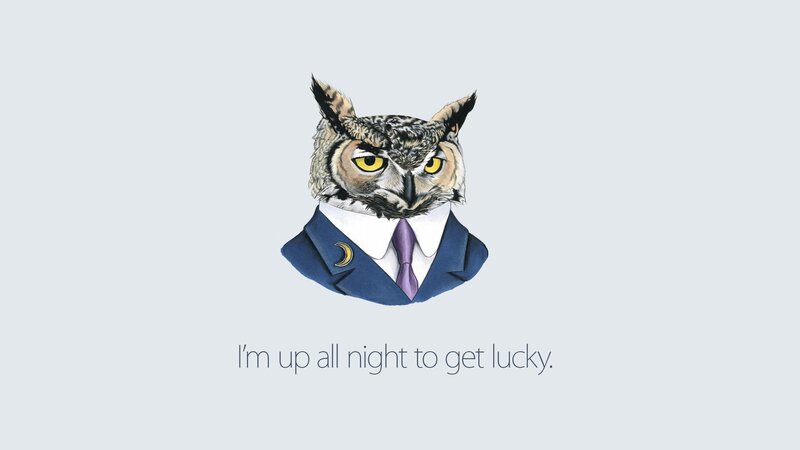 Owl in a Suit — Blue, Serious