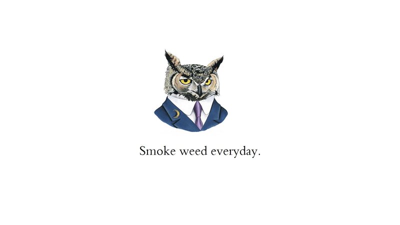 Owl in a Suit — White