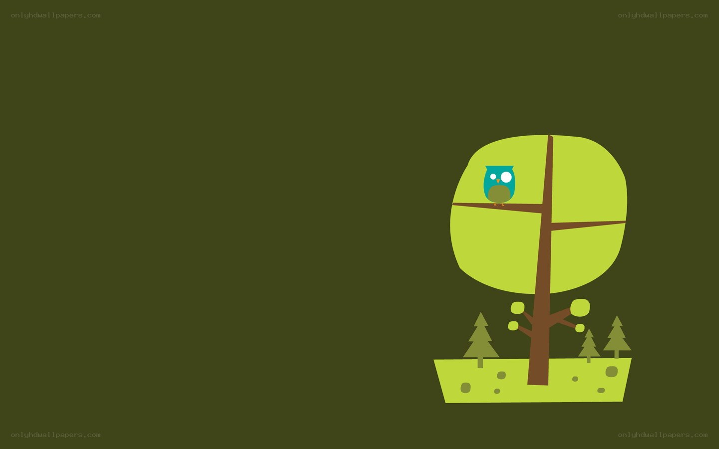 owl in a tree