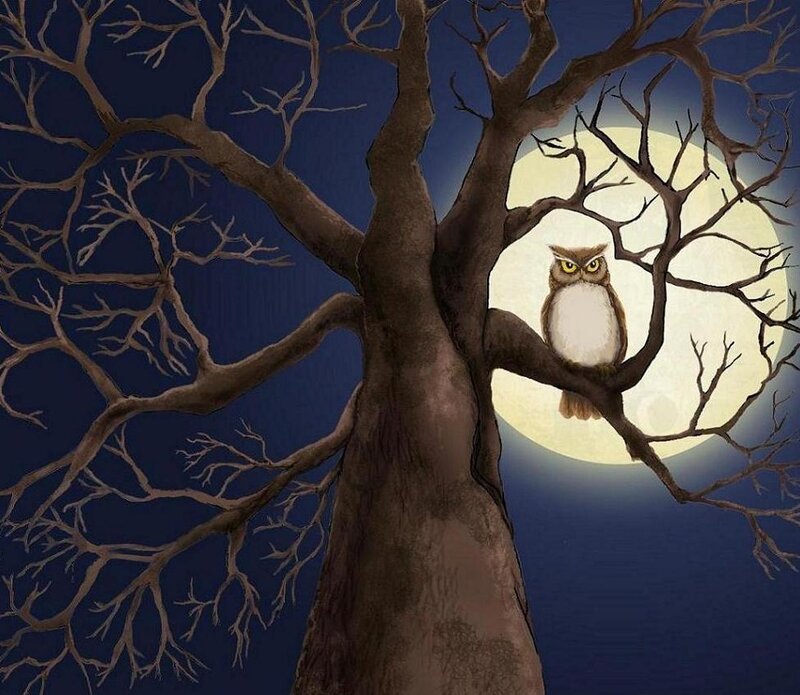 Owl in a Tree — Brown