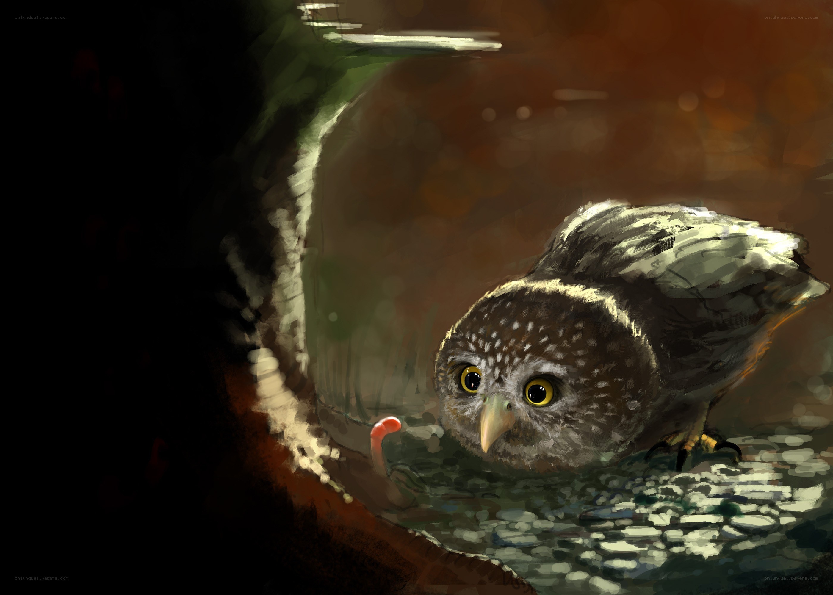 Owl in a tree hollow