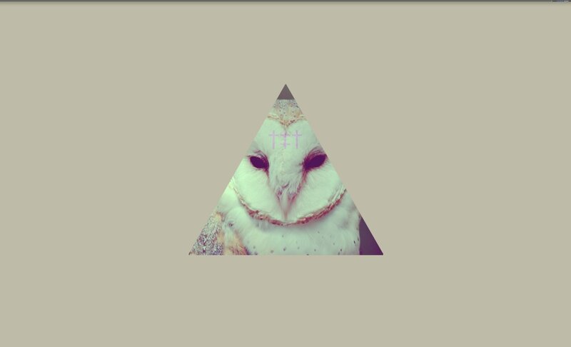 Owl in a triangle frame