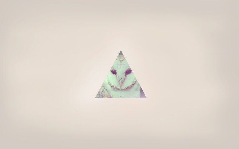 owl in a triangle