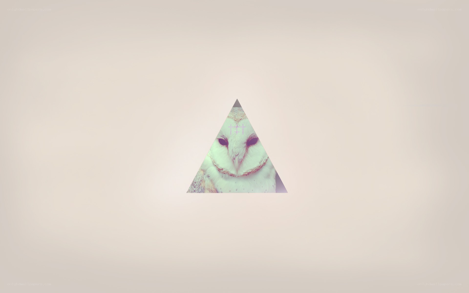 owl in a triangle