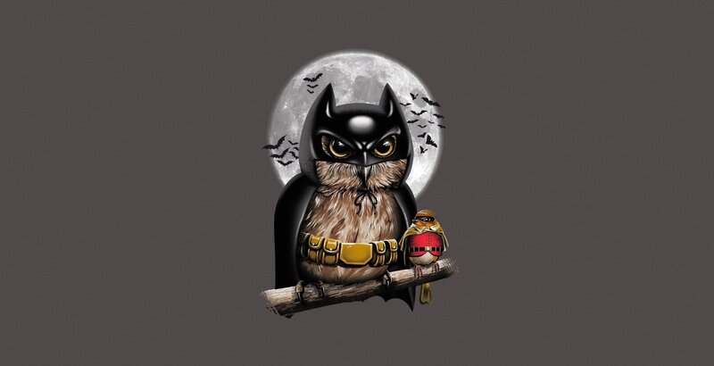 Owl in Bat Costume