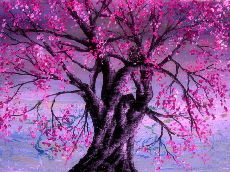 Owl in Blooming Tree