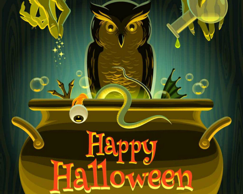 Owl in Cauldron