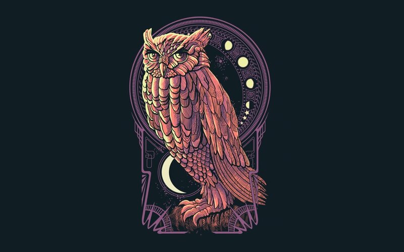 Owl in Circular Frame