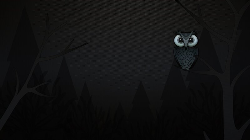 owl in dark forest