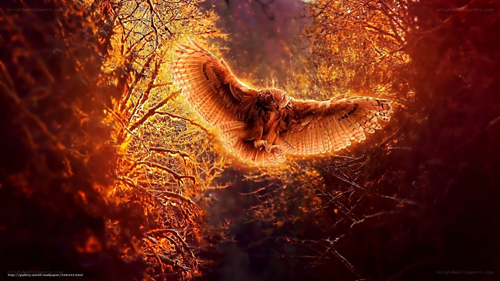 Owl in fiery forest
