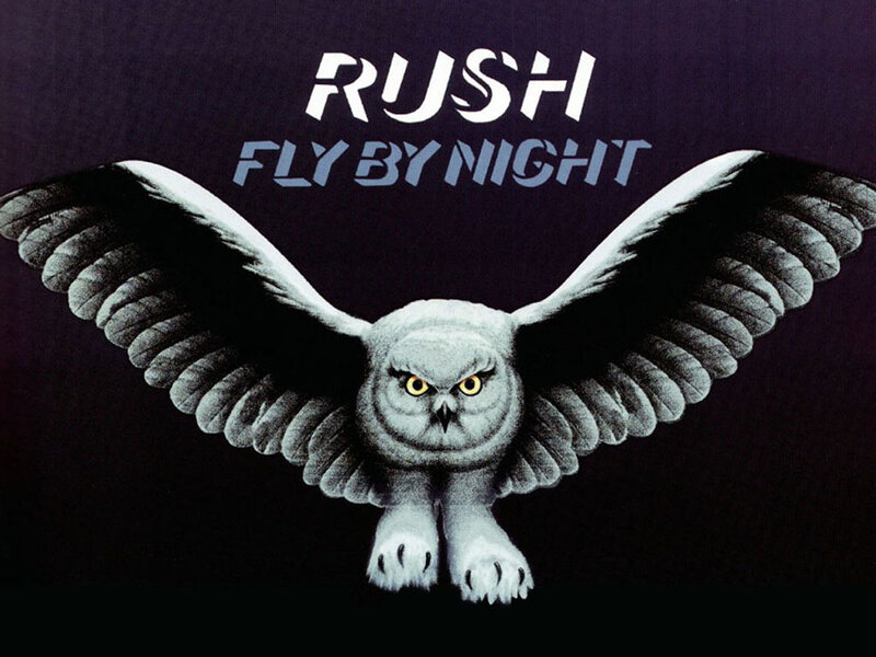 Owl in Flight — Black