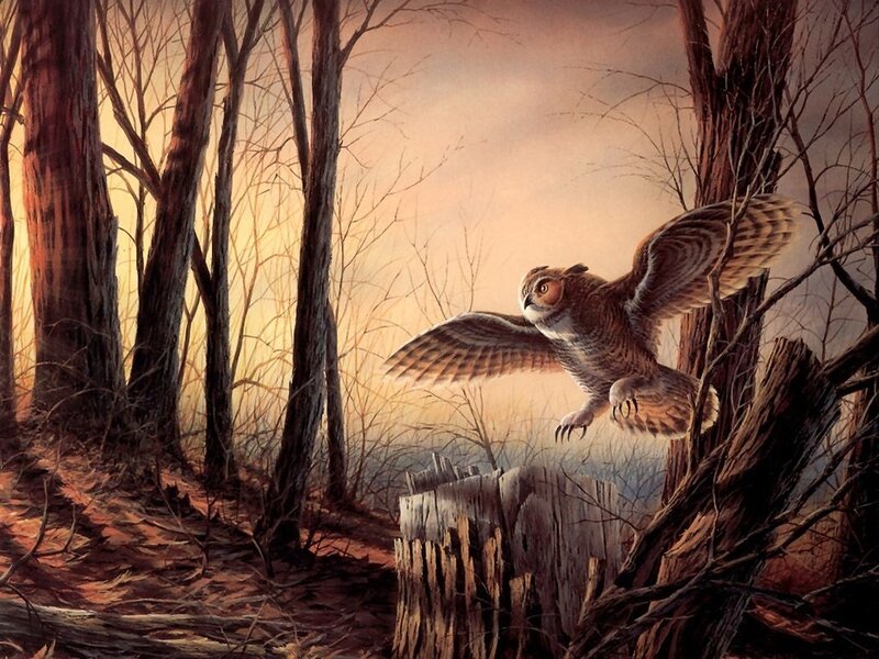 Owl in Flight — Brown, Dramatic