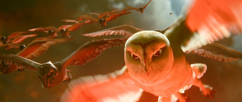 owl in flight with flock