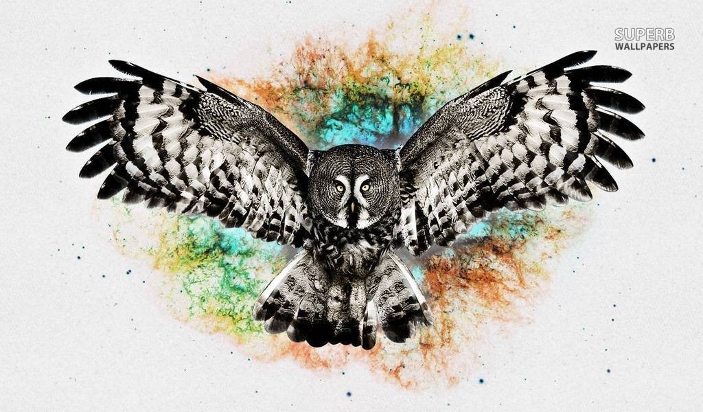 Owl in flight with watercolor background