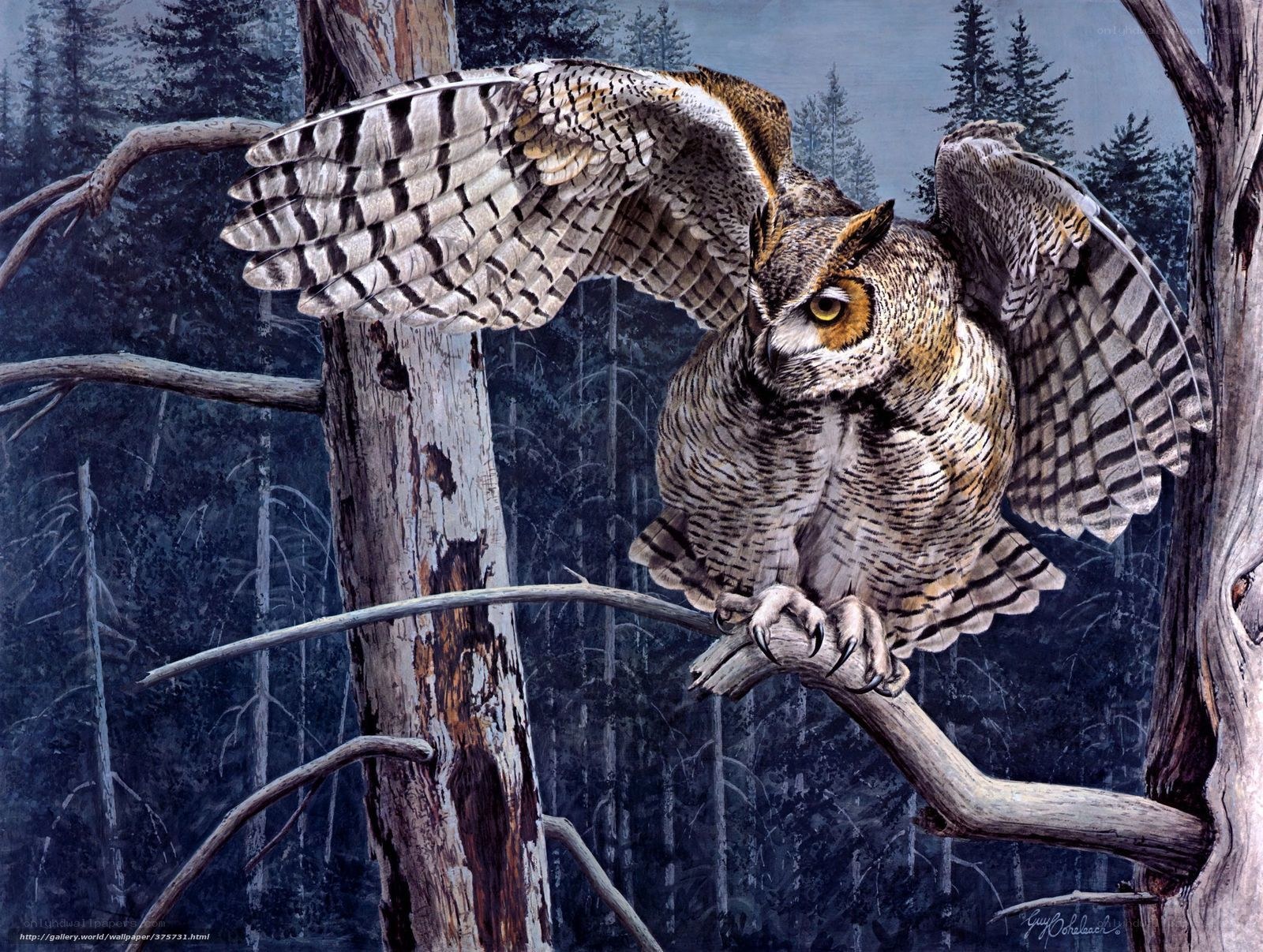 Owl in forest at dusk