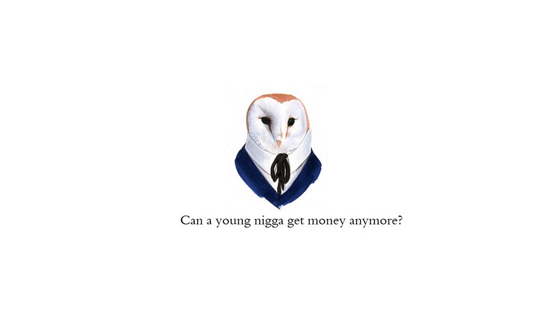 Owl in Formal Wear